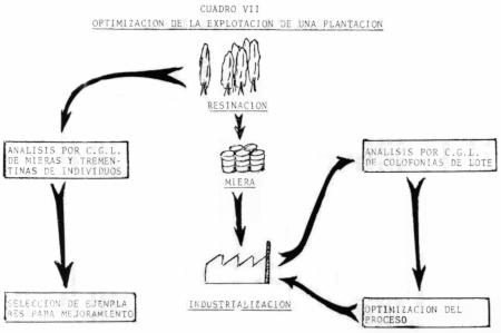 c-biblio008-08-j (74K)