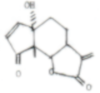 c-biblio008-13-a (12K)