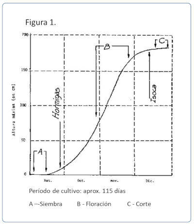 c-biblio009-01-a (59K)