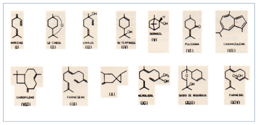 c-biblio009-03-a (98K)