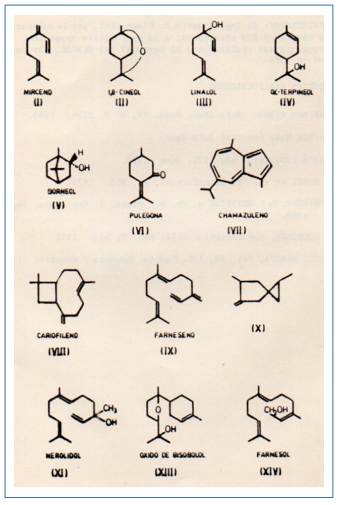 c-biblio009-04-b (262K)