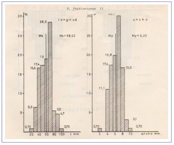 c-biblio009-05-c (337K)