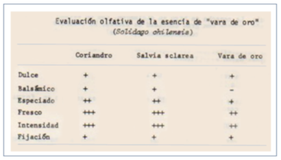 c-biblio009-08-d (55K)