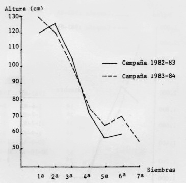 c-biblio009-12-d (87K)