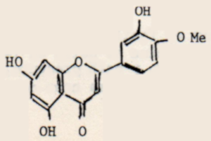 c-biblio009-13-d (39K)