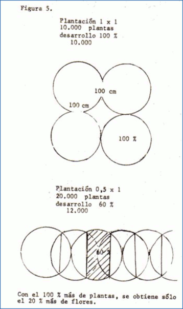 c-biblio009-16-e (55K)