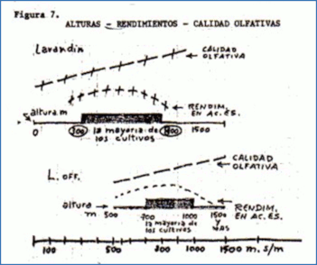 c-biblio009-16-g (39K)