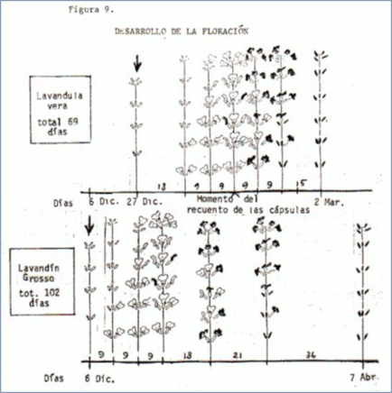 c-biblio009-16-i (69K)