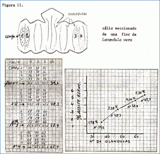 c-biblio009-16-k (173K)