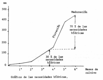 c-biblio009-20-a (17K)