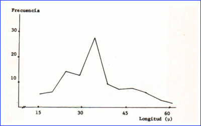 c-biblio009-27-a (15K)