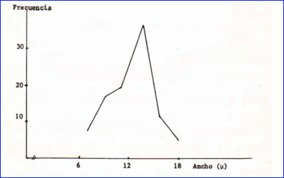 c-biblio009-27-b (21K)