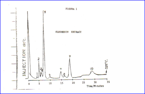 c-biblio009-32-a (51K)