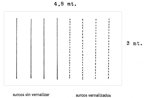 c-biblio010-10-a (51K)