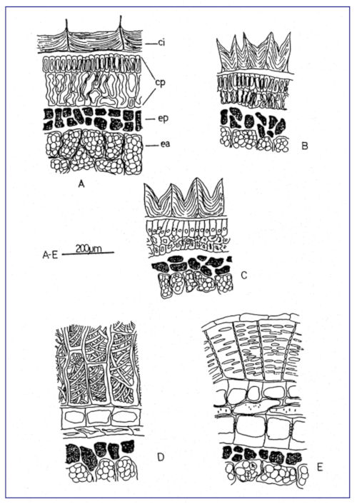 c-biblio010-16-b (292K)