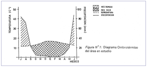 c-biblio010-17-a (58K)