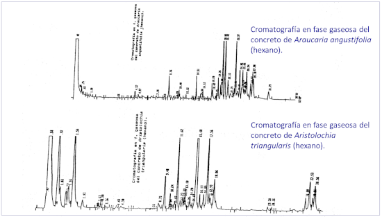 c-biblio010-31-fig2 (73K)