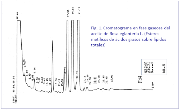 c-biblio010-33-fig1 (73K)