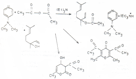 c-biblio011-06-a (67K)