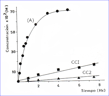 c-biblio011-06-e (46K)