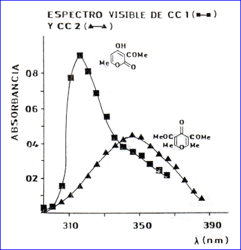 c-biblio011-06-g (62K)