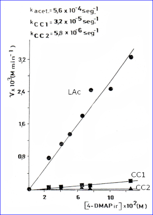 c-biblio011-06-h (47K)