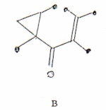 c-biblio011-12-b (17K)