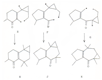 c-biblio011-12-e (69K)