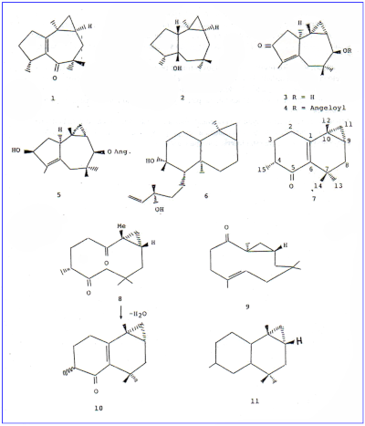 c-biblio011-12-f (49K)