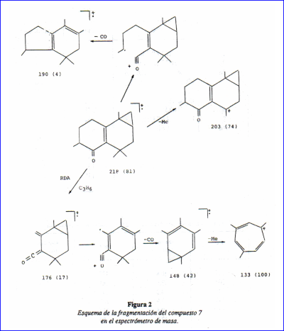 c-biblio011-12-g (68K)