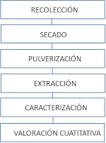 c-biblio011-31-a (11K)