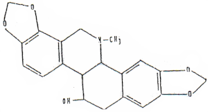 c-biblio011-31-f (17K)