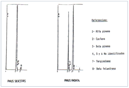 c-biblio012-15-d (43K)