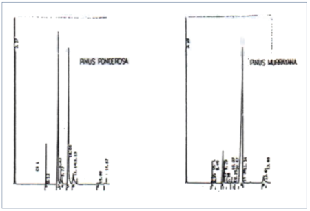 c-biblio012-15-e (39K)