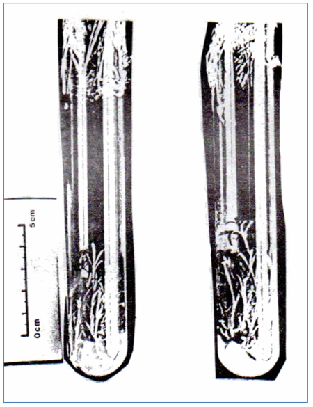 c-biblio012-30-c (278K)