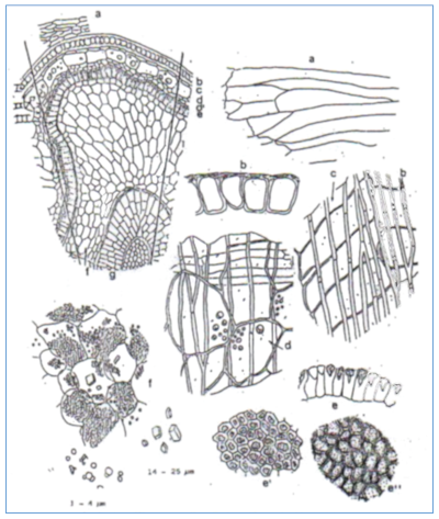 c-biblio012-31-b (232K)