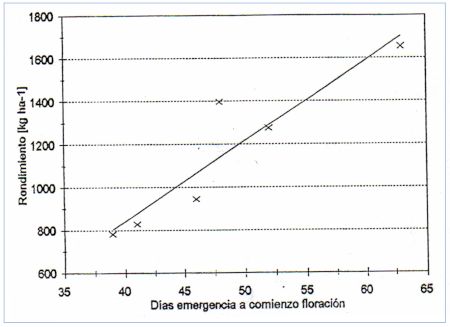 c-biblio012-34-a (71K)