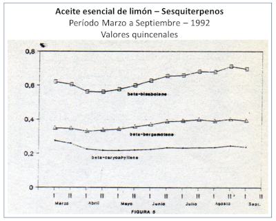 c-biblio013-02-g (177K)