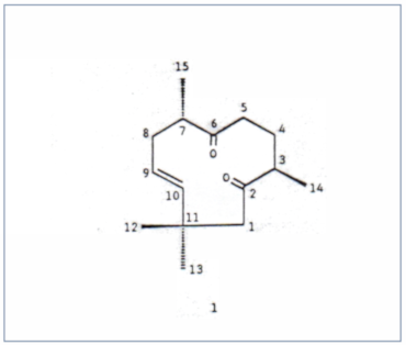 c-biblio013-07-b (37K)