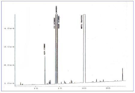 c-biblio013-08-a (47K)