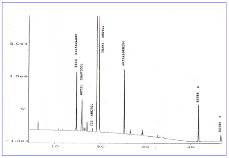 c-biblio013-08-c (48K)