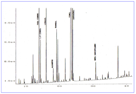 c-biblio013-08-e (61K)