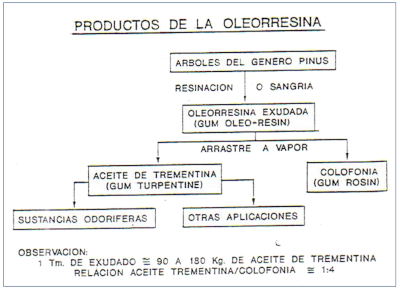 c-biblio013-12-a (94K)