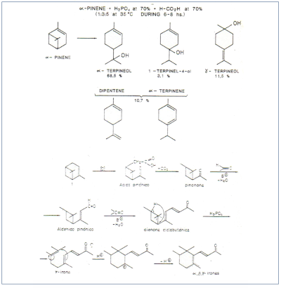 c-biblio013-12-d (63K)