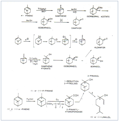 c-biblio013-12-e (86K)