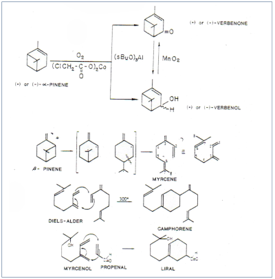 c-biblio013-12-f (67K)