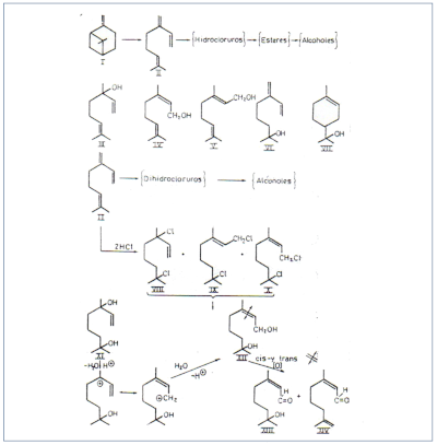 c-biblio013-12-g (55K)