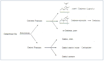 c-biblio013-12-j (28K)