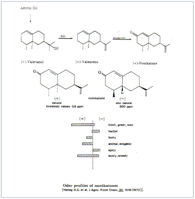 c-biblio013-12-l (56K)