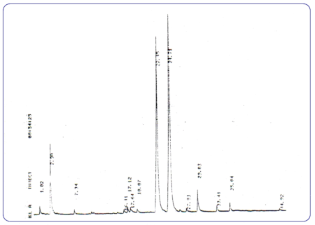 c-biblio013-15-c (28K)